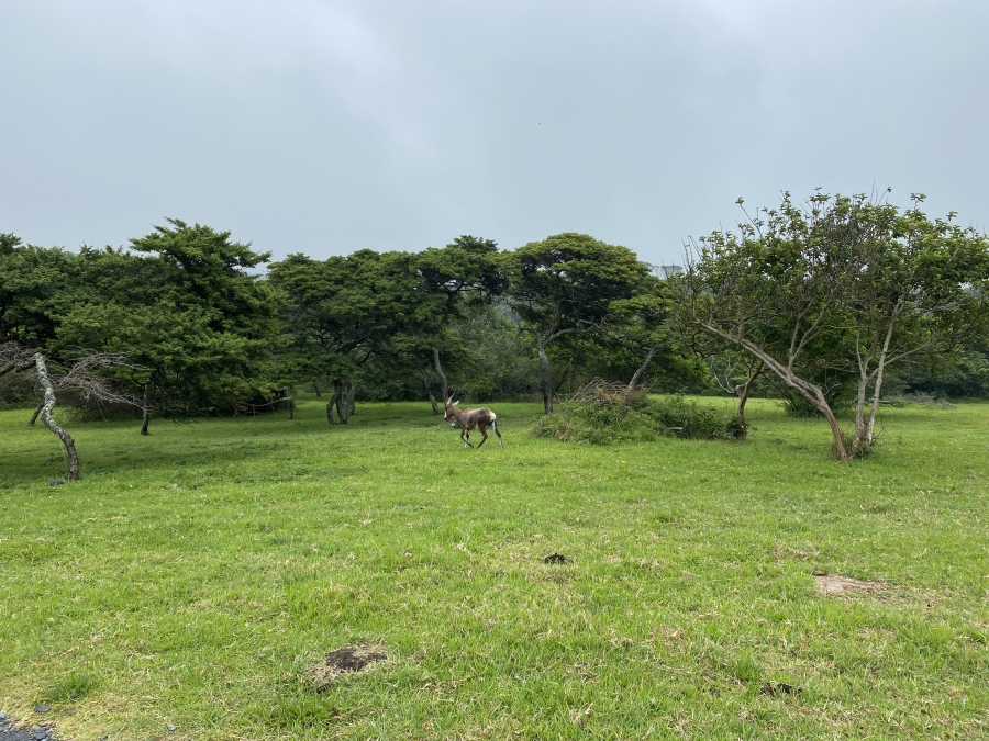 0 Bedroom Property for Sale in Cove Rock Eastern Cape